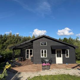 Moderne feriehus nær Isefjord