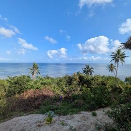 MafiaSeaview