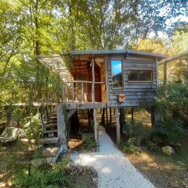 La cabane de l'oiseau