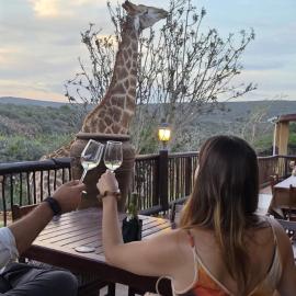 Valley Bushveld Country Lodge, hotel sa Addo