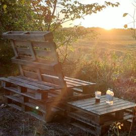 Tiny house in nature 8 km from Ribe city center, Denmark, hotell i Ribe