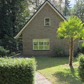 Het Roodborstje