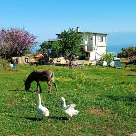 Batzanemi Guest House and Farm, hotel v destinácii Throfárion
