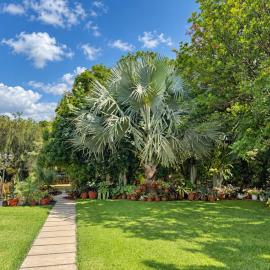 Shanty Botanical by The Prime Escape