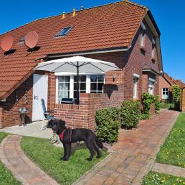 Watt'n Glück Neßmersiel - vollständig eingezäunt - Urlaub mit Hund