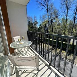 Espacio Bosque Pucon