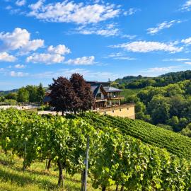 Weingut K14