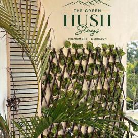 The Green Hush Stays