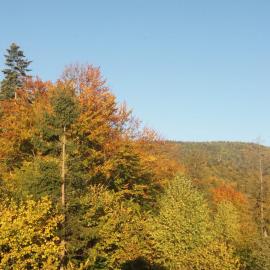 Impression of Karpaty, Hotel in Jaremtsche