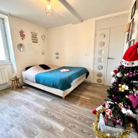 Le Cosy, Rives Entre Lyon et Grenoble, lit Queen 160, 4 pers, Calme côté jardin