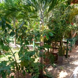 Beautiful holiday homes, khách sạn ở Ukunda