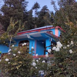 TITRI KHONA HOMESTAY Kalpa