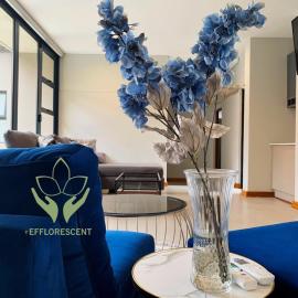 Efflorescentvilla