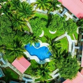 Oasis Tropical