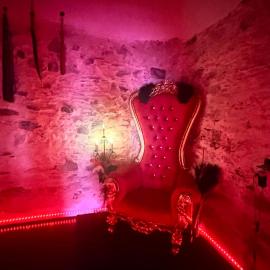 Adults-only house with a fetish-themed room
