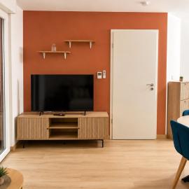 Apartment, garden and jacuzzi near Strasbourg