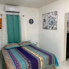 The Golden Apple Cozy 1BR Apartment in Antigua