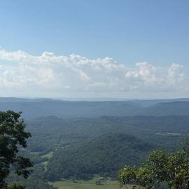 Wildflower Hotel on Lookout Mountain 1