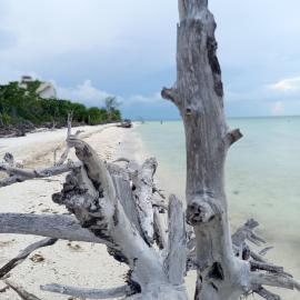 Mi habitat holbox-Maravilla natural