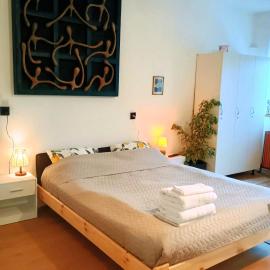 Lumiere Studio 1, hotelli kohteessa Sfântu Gheorghe