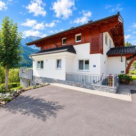 Apartment in Mittersill near ski lift