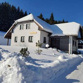 Prázdninový dům - Apartmány Vltavice