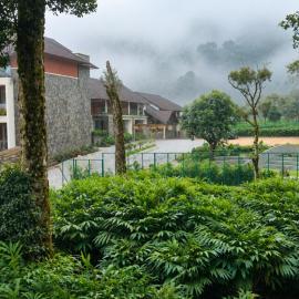 Olive Woods, hotel v mestu Chinnakanal