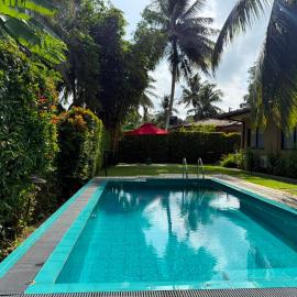 Don Cyril's Nature Bungalows