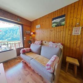 Studio cabine Vue chaine des Aravis - 4 couchages - Grand Bornand Village - GB090-C2