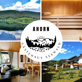 Gästehaus Seewald- Ferienwohnung 1 "Ahorn", Schluchsee, Blasiwald