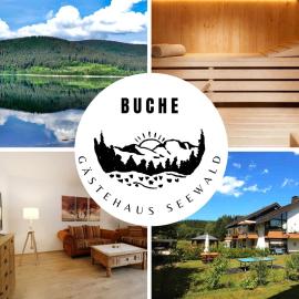 Gästehaus Seewald- Ferienwohnung 5 "Buche", Schluchsee, Blasiwald