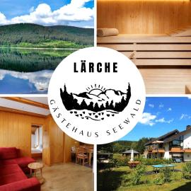 Gästehaus Seewald- Ferienwohnung 4 "Lärche", Schluchsee, Blasiwald