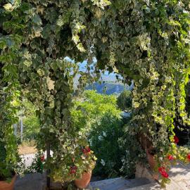 Perky Roses Home, cozy version, Seaview, Pelion, Volos, Greece
