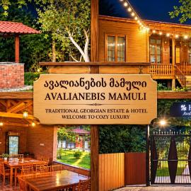 Hotel Avalianebis Mamuli, hotel en Dikhashkho