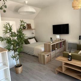Spacious & Quiet Studio - 50 m from Metz Cathedral