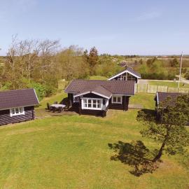 Awesome Home In Skjern With Wifi