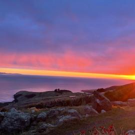 Villa Rustica Retreat, hotel di Dunedin