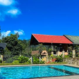 The Rain Tree resort, hotel u gradu Kutta