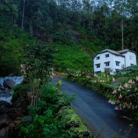 Crimple Cottage by Ceylon Rare Finds