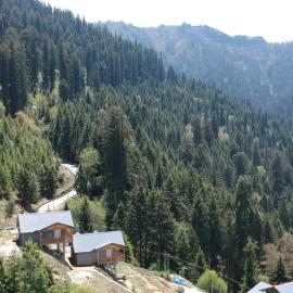 Father's Cottage Shoja
