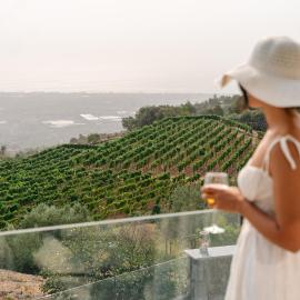 Villa Viognier - Wine and Etna view