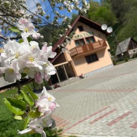 Casa Tara