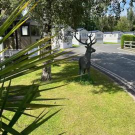 MH6 Lemonford Park Bickington Newton Abbott Devon TQ126JR โรงแรมในBickington