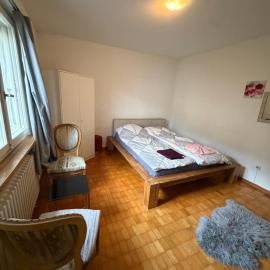 YigitsRoom M, hotel din Hergiswil
