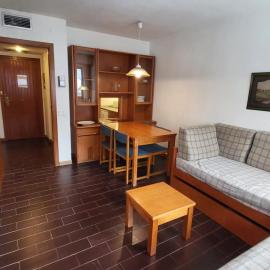 Apartment with parking right by the slopes in Baqueira