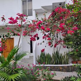 Bahía Garden