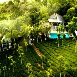 Hayashi Resort, hotel a Meppādi