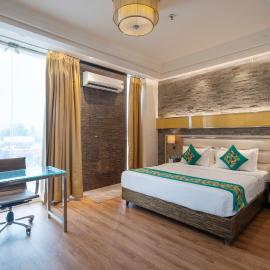 Treebo Premium Arista