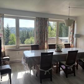 Harz-See-Lodge