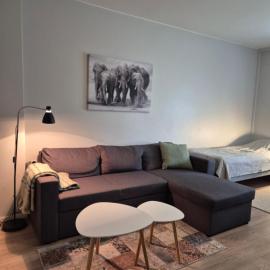 SALLY Apartment 24-7 Check-in
